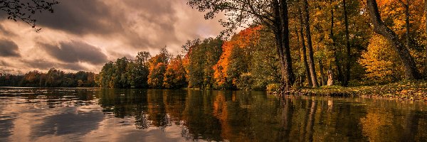 Jezioro, Drzewa, Chmury, Jesień