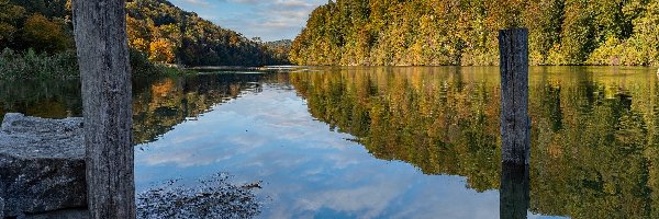 Szwajcaria, Lasy, Kołki, Rzeka Ren, Jesień, Tossegg, Odbicie