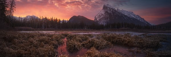Jezioro, Vermilion Lakes, Zachód słońca, Góry, Chmury, Park Narodowy Banff, Drzewa, Kanada, Alberta