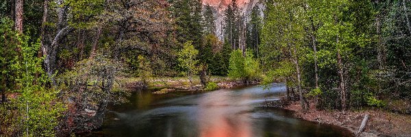 Szczyt Half Dome, Rzeka, Drzewa, Góry, Las, Park Narodowy Yosemite, Merced River, Stany Zjednoczone, Kalifornia