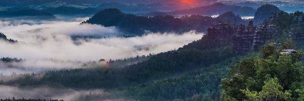 Lasy, Skały, Niemcy, Wschód słońca, Góry Połabskie, Drzewa, Mgła, Park Narodowy Saskiej Szwajcarii