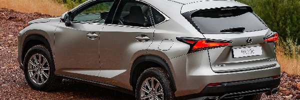 Tył, Bok, Lexus NX