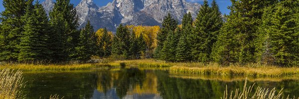 Snake River, Rzeka, Drzewa, Góry Skaliste, Park Narodowy Grand Teton, Stany Zjednoczone, Stan Wyoming, Trawa, Odbicie