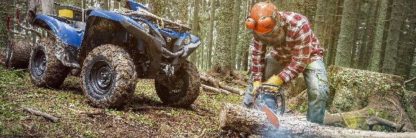 Quad, Las, Yamaha Grizzly, Drwal, Drzewa