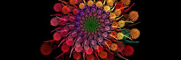 Grafika 2D, Kolorowy, Kwiat
