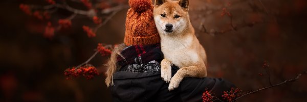 Shiba inu, Czapka, Dziewczynka, Pies