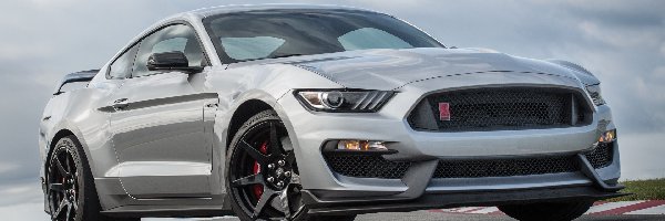 Ford Mustang Shelby GT350R