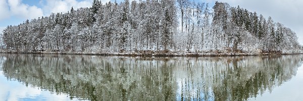 Oszronione, Odbicie, Drzewa, Jezioro