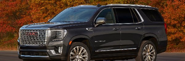 2021, Czarne, GMC Yukon Denali