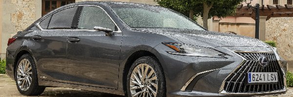 Deszcz, 2021, Lexus ES Hybrid