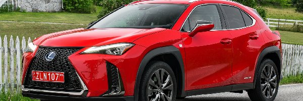 F Sport, Lexus UX 250h