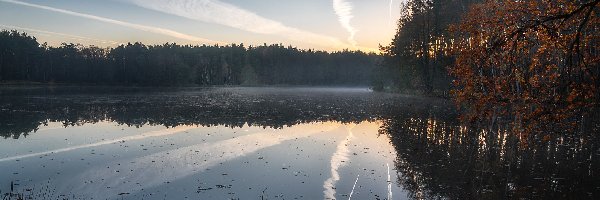 Drzewa, Niebo, Odbicie, Jezioro