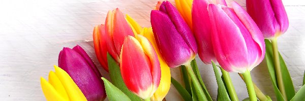 Drewno, Kolorowe, Tulipany, Wiosna, Bukiet, Kwiaty