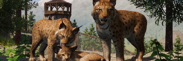 Planet Zoo, Gra, Rysie euroazjatyckie