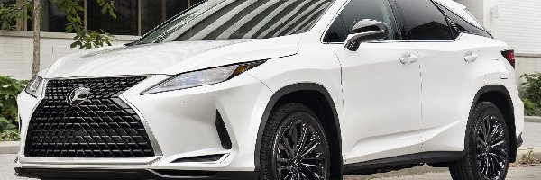 2021, Lexus RX Moonlight Edition