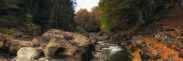 Hiszpania, Kamienie, Skarpy, Ara Rio, Rzeka, Park Narodowy Ordesa y Monte Perdido, Drzewa