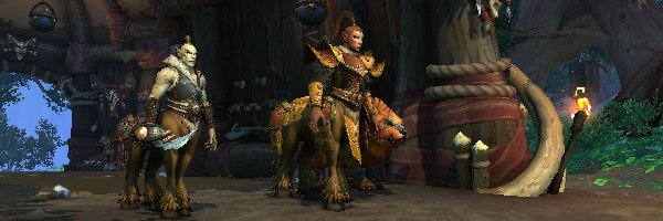 World of Warcraft Dragonflight, Gra, Postacie
