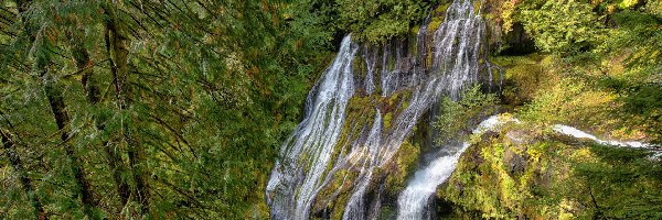 Stany Zjednoczone, Wodospad, Panther Creek Falls, Drzewa, Las, Stan Waszyngton, Gifford Pinchot National Forest
