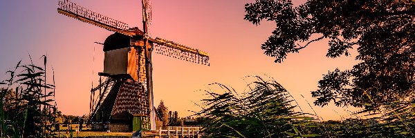 Kinderdijk, Drzewo, Niebo, Holandia, Trawa, Wiatrak