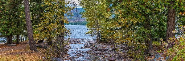 Stany Zjednoczone, Lake McDonald, Kamienie, Jezioro, Drzewa, Montana, Park Narodowy Glacier