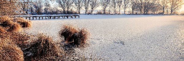 Zima, Pomost, Jezioro, Trawa, Drzewa