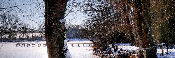 Zima, Pomost, Staw, Ogrodzenie, Drzewa