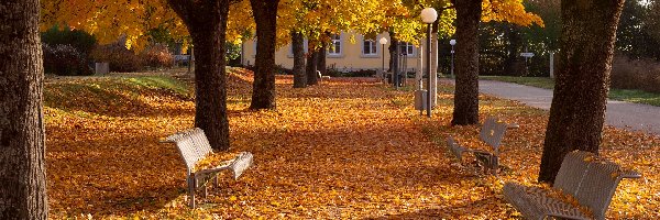 Jesień, Ławki, Park, Latarnie, Aleja