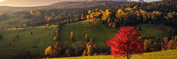 Słowacja, Góry, Lasy, Drzewa, Jesień, Zamagurze, Wzgórza