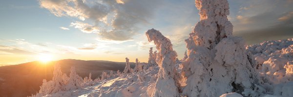 Śnieg, Zaspy, Śnieg, Drzewa, Pole, Wschód słońca, Poranek, Drzewa, Góry