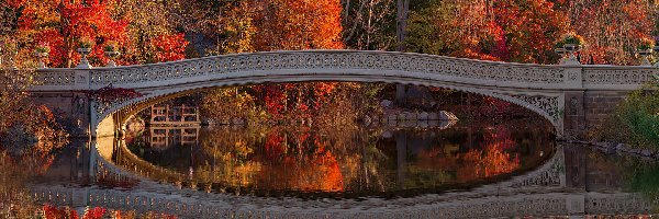 Bow Bridge, Most, Central Park, Nowy Jork, Stany Zjednoczone, Odbicie, Drzewa, Jesień, Jezioro