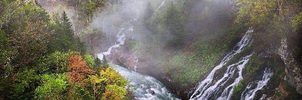 Shirahige Waterfall, Las, Japonia, Wodospad, Mgła, Rzeka, Biei River, Jesień, Drzewa, Hokkaido