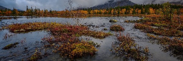 Jezioro, Półwysep Kolski, Trawa, Drzewa, Góry Chibiny, Jesień, Chmury, Rosja