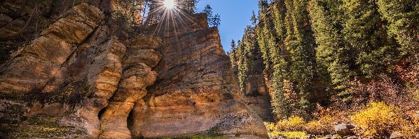 Rzeka, Arizona, Promienie słońca, Drzewa, Sedona, Pumphouse Wash, Skały, Stany Zjednoczone