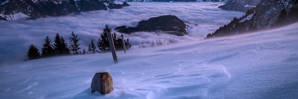 Zima, Góry, Mgła, Drzewa, Śnieg, Zachód słońca, Wieczór