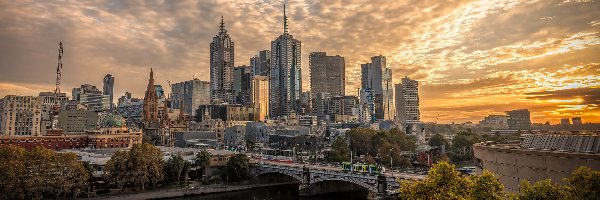 Australia, Drzewa, Wieżowce, Rzeka Yarra, Most, Melbourne, Miasto