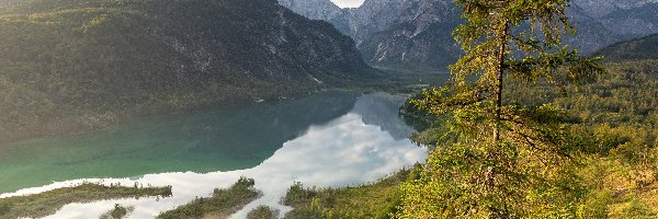 Drzewa, Wysepki, Las, Chmury, Jezioro, Góry