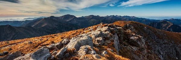 Trawa, Skały, Pożółkła, Polska, Tatry Zachodnie, Góry