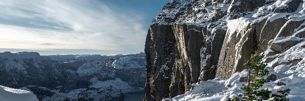 Rogaland, Zima, Drzewo, Norwegia, Góry Skandynawskie, Klif Preikestolen