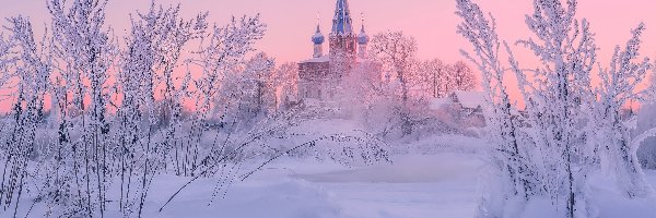 Ośnieżone, Obwód iwanowski, Drzewa, Śnieg, Wieś, Cerkiew, Zima, Rosja, Dunilovo, Trawy