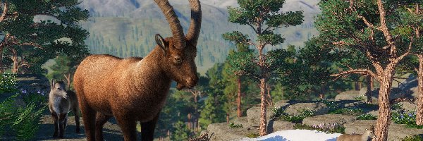 Planet Zoo, Gra, Koziorożec alpejski