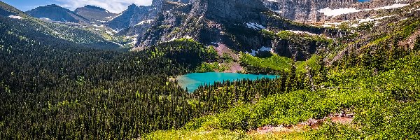 Rośliny, Stany Zjednoczone, Góry, Montana, Park Narodowy Glacier, Drzewa, Jezioro