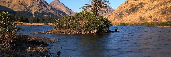 Drzewa, River Etive, Wysepka, Szkocja, Rzeka, Góry