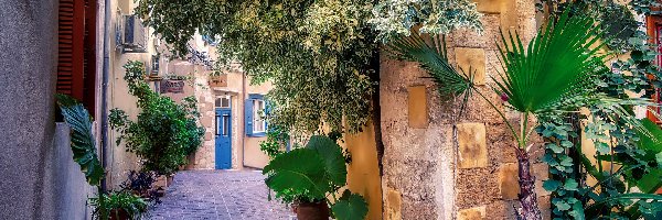 Rośliny, Miasto Chania, Ulica, Domy, Kreta, Grecja