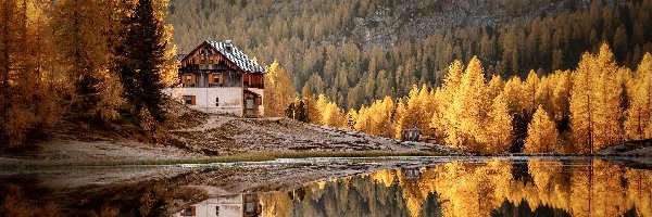 Drzewa, Dolomity, Włochy, Jesień, Lago Federa, Dom, Schronisko, Góry, Jezioro, Odbicie
