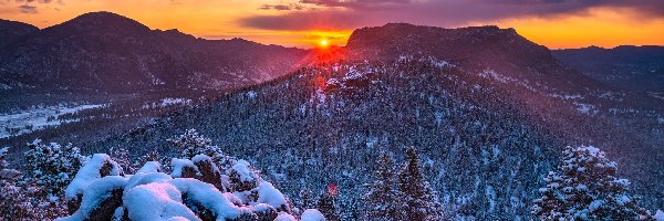 Świt, Zima, Kolorado, Drzewa, Stany Zjednoczone, Śnieg, Wschód słońca, Park Narodowy Gór Skalistych, Góry, Las, Góry Skaliste