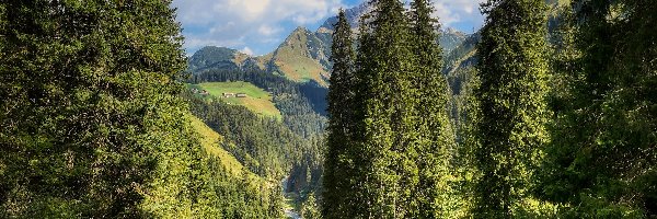Austria, Dolina, Góry, Las, Drzewa, Tyrol, Alpy