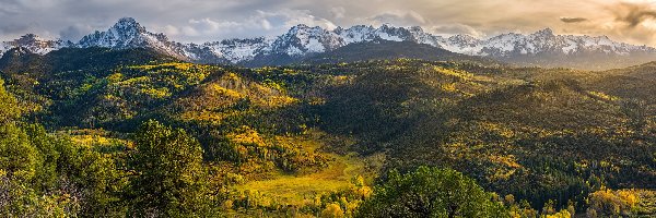 Lasy, Góry, San Juan Mountains, Drzewa, Kolorado, Stany Zjednoczone