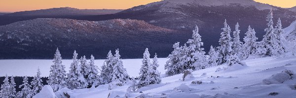 Zima, Ośnieżone, Drzewa, Góry, Wzgórze