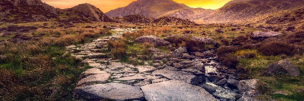 Trawa, Strumyk, Dolina, Ścieżka, Kamienna, Walia, Park Narodowy Snowdonia, Ogwen Valley, Góry