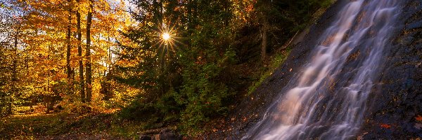 Stany Zjednoczone, Promienie słońca, Wodospad, Drzewa, Jesień, Michigan, Haven Falls